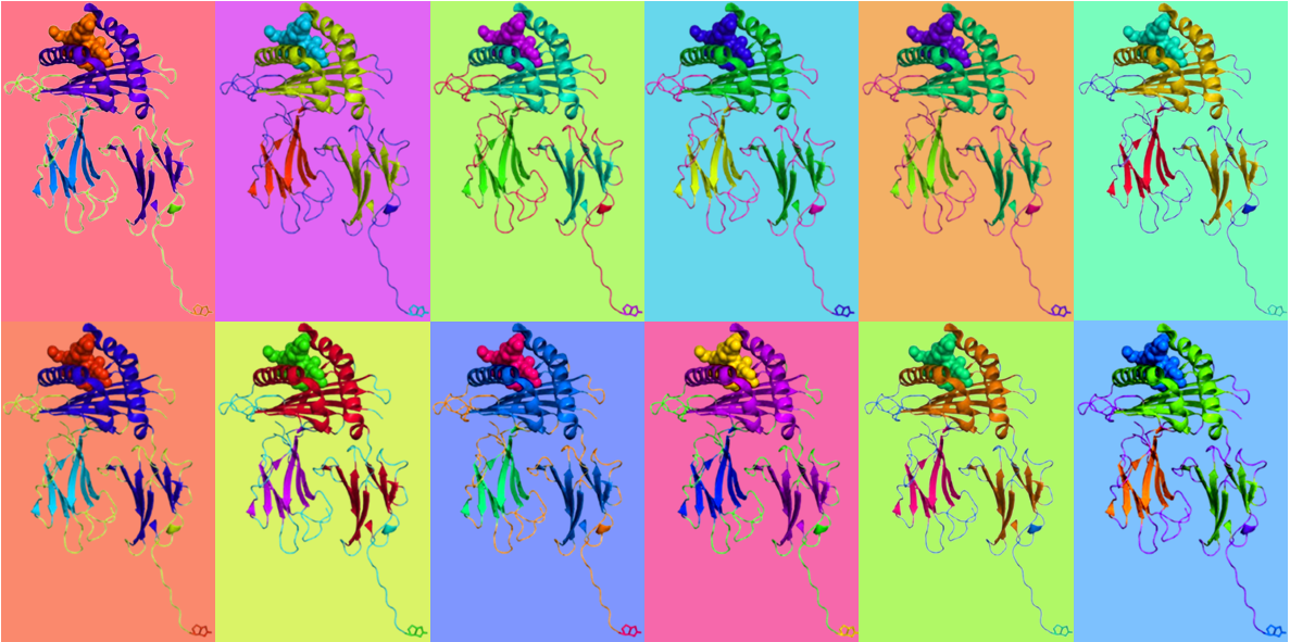 ProImmune Ltd Introduces ProVE® SL Self Loading MHC Class I Monomers to improve T Cell Research Flexibility